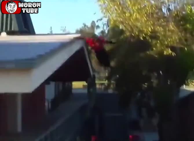 Video :This skateboarder's last-minute decision ultimately leads to his demise